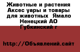 Животные и растения Аксесcуары и товары для животных. Ямало-Ненецкий АО,Губкинский г.